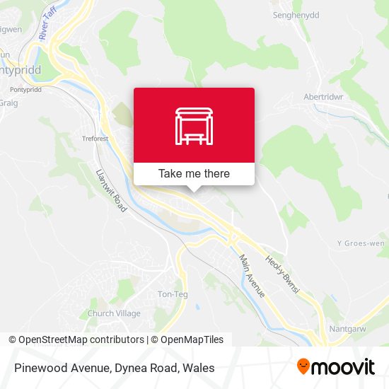 Pinewood Avenue, Dynea Road map