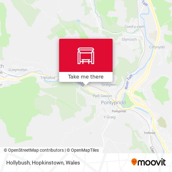 Hollybush, Hopkinstown map