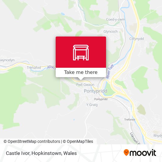 Castle Ivor, Hopkinstown map