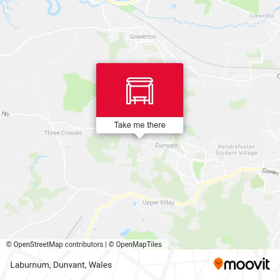 Laburnum, Dunvant map