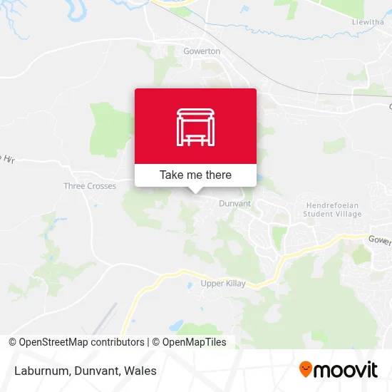 Laburnum, Dunvant map