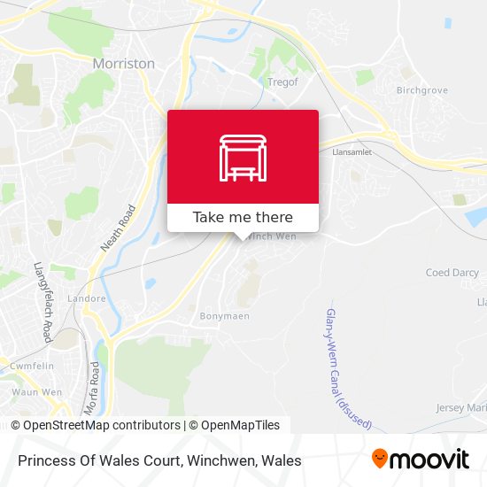 Princess Of Wales Court, Winchwen map