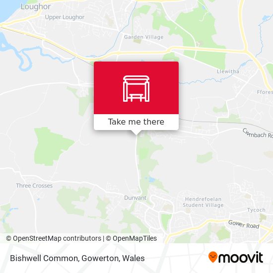 Bishwell Common, Gowerton map