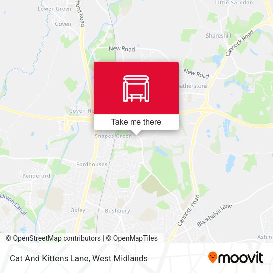 Cat And Kittens Lane map