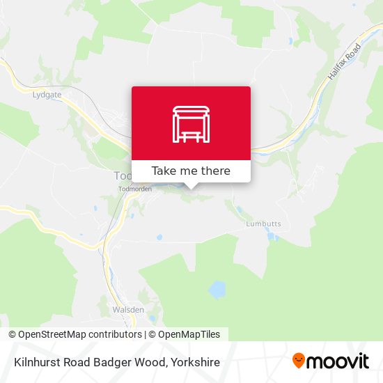 Kilnhurst Road Badger Wood map