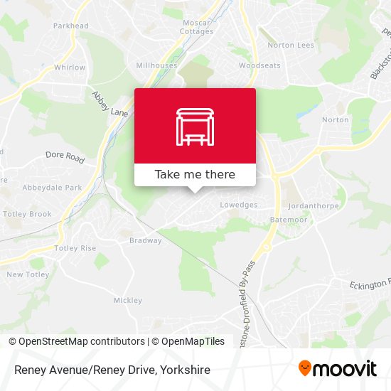 Reney Avenue/Reney Drive map