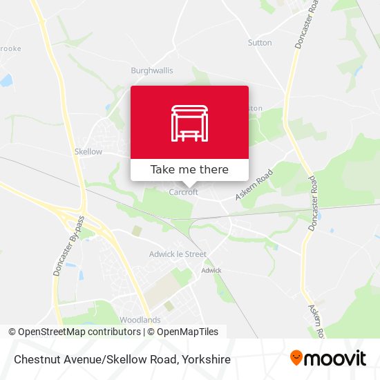 Chestnut Avenue/Skellow Road map