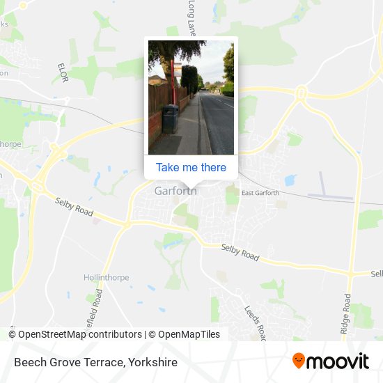 Beech Grove Terrace map