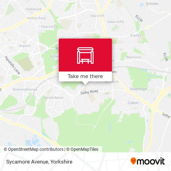 Sycamore Avenue map