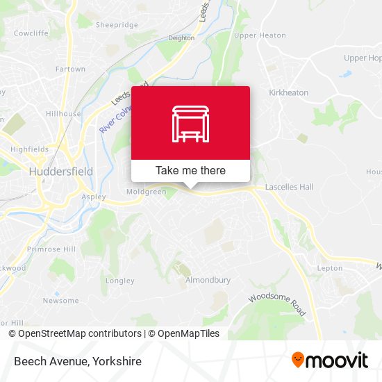 Beech Avenue map