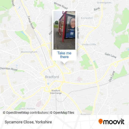 Sycamore Close map
