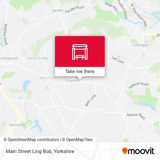Main Street Ling Bob map