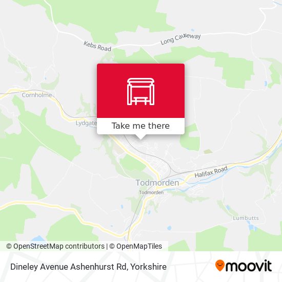 Dineley Avenue Ashenhurst Rd map