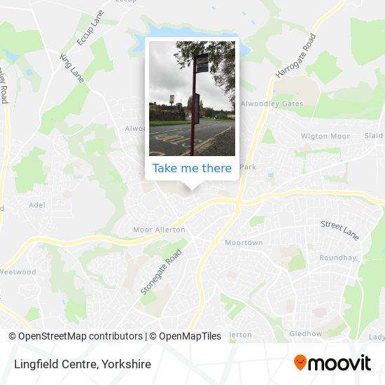 Lingfield Centre map