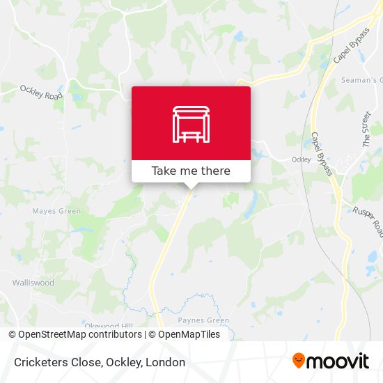 Cricketers Close, Ockley map