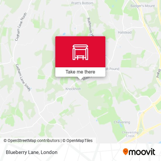 Blueberry Lane map