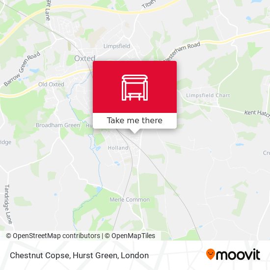 Chestnut Copse, Hurst Green map