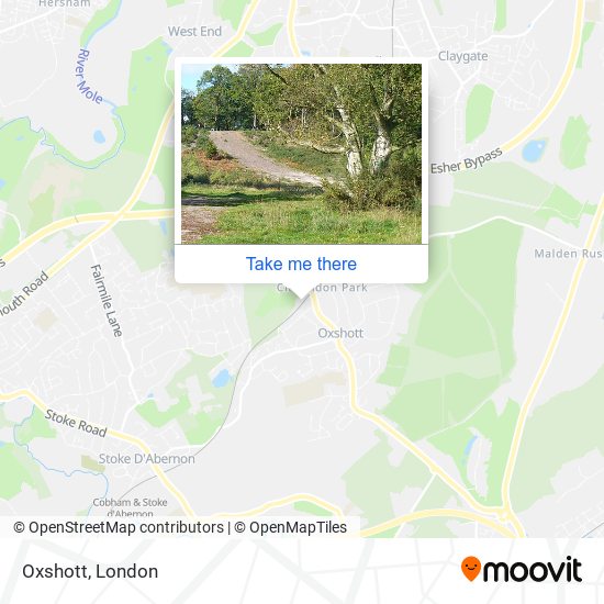 Oxshott map