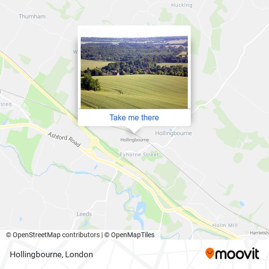 Hollingbourne map