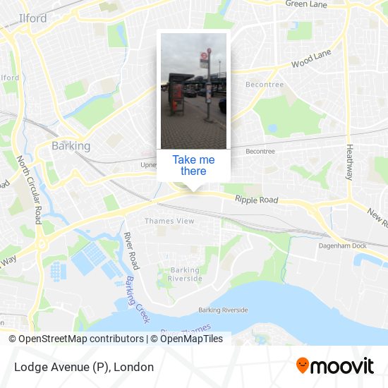Lodge Avenue (P) map