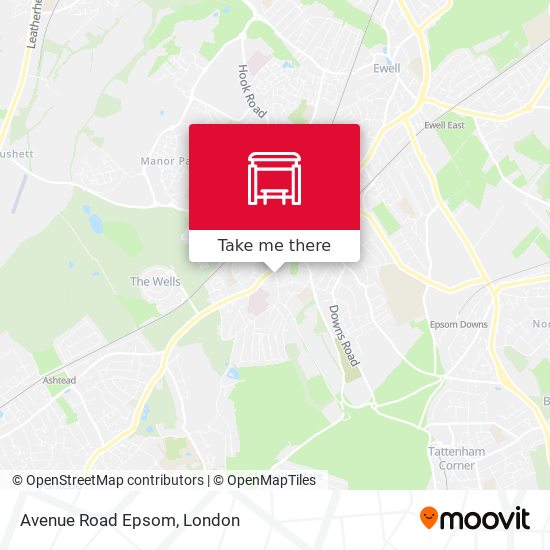 Avenue Road Epsom map