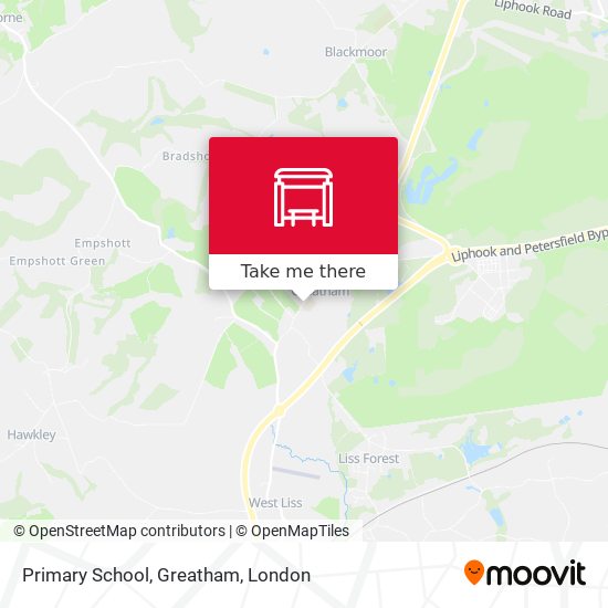 Primary School, Greatham map