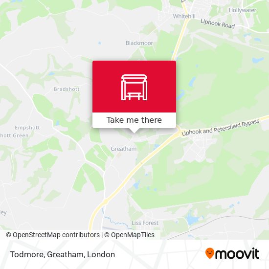 Todmore, Greatham map