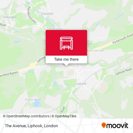The Avenue, Liphook map