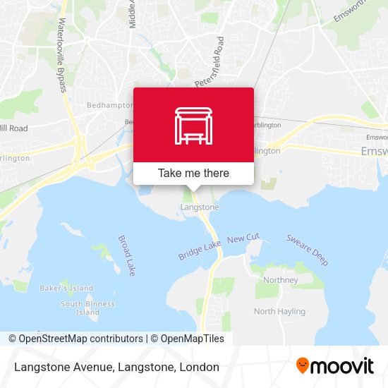 Langstone Avenue, Langstone map