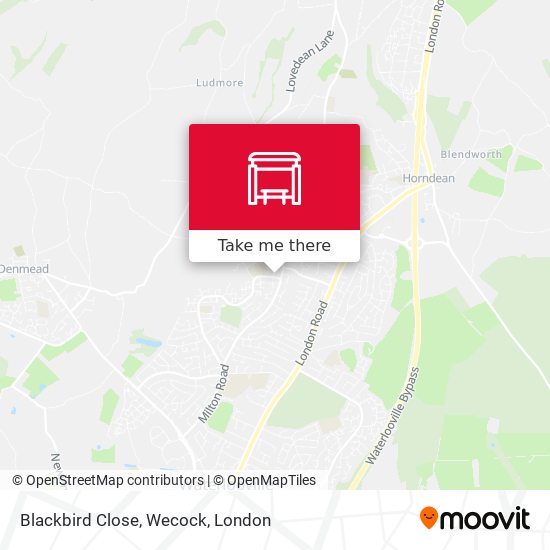 Blackbird Close, Wecock map