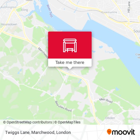 Twiggs Lane, Marchwood map