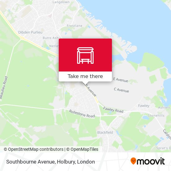 Southbourne Avenue, Holbury map