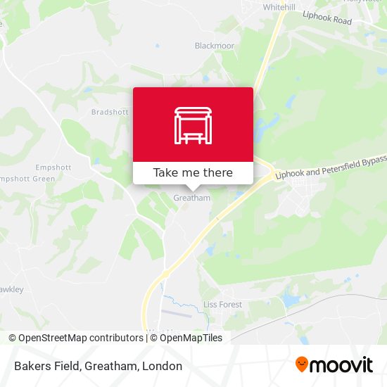 Bakers Field, Greatham map