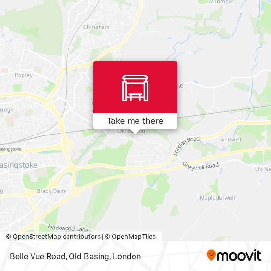 Belle Vue Road, Old Basing map