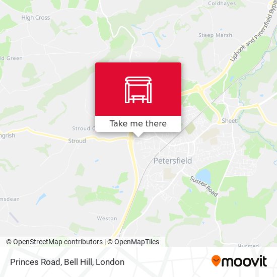 Princes Road, Bell Hill map