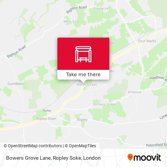 Bowers Grove Lane, Ropley Soke map