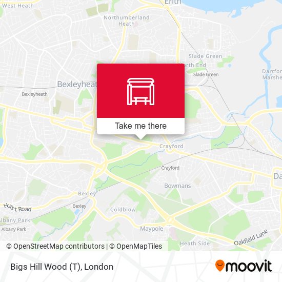 Bigs Hill Wood (T) map