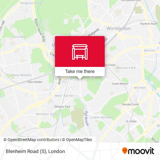 Blenheim Road (S) map