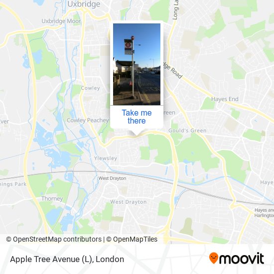 Apple Tree Avenue (L) map