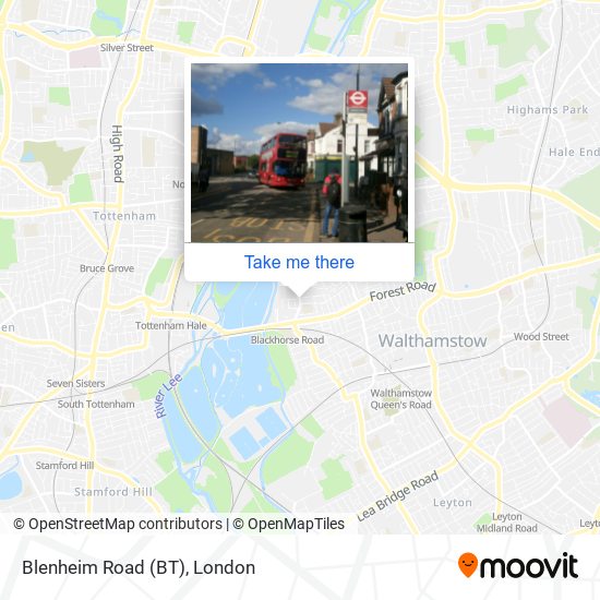 Blenheim Road (BT) map