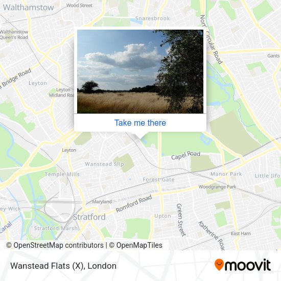 Wanstead Flats (X) map
