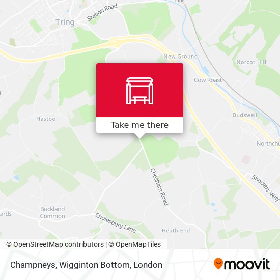 Champneys, Wigginton Bottom map