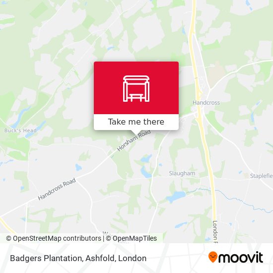 Badgers Plantation, Ashfold map