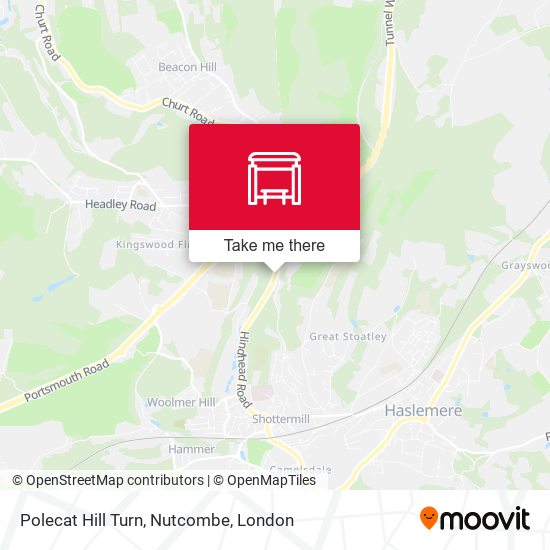 Polecat Hill Turn, Nutcombe map