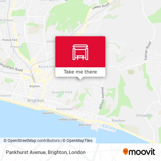 Pankhurst Avenue, Brighton map