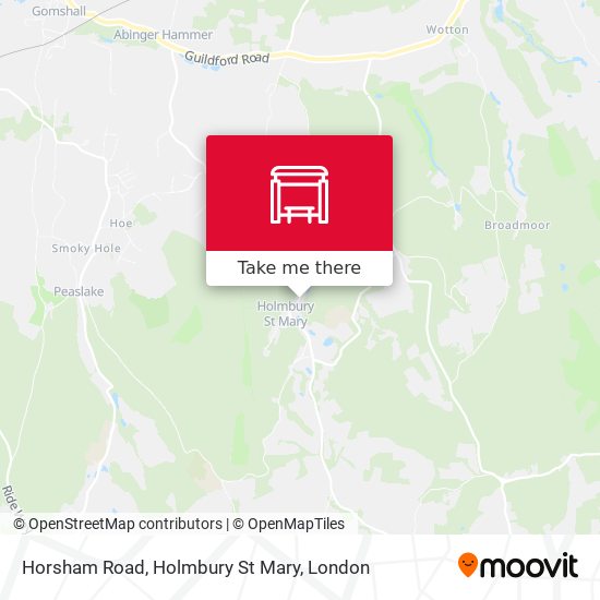 Horsham Road, Holmbury St Mary map