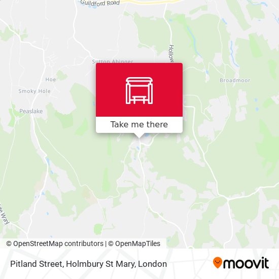 Pitland Street, Holmbury St Mary map