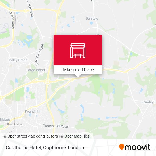 Copthorne Hotel, Copthorne map