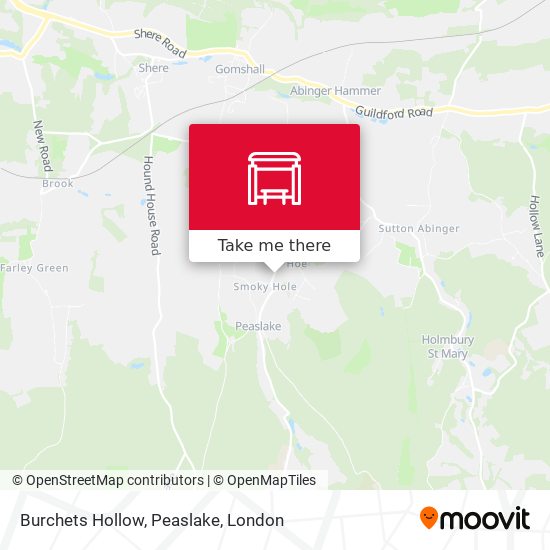 Burchets Hollow, Peaslake map