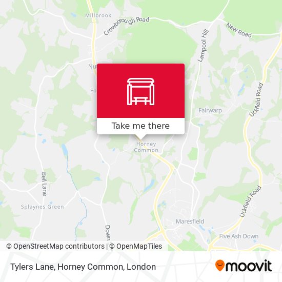 Tylers Lane, Horney Common map